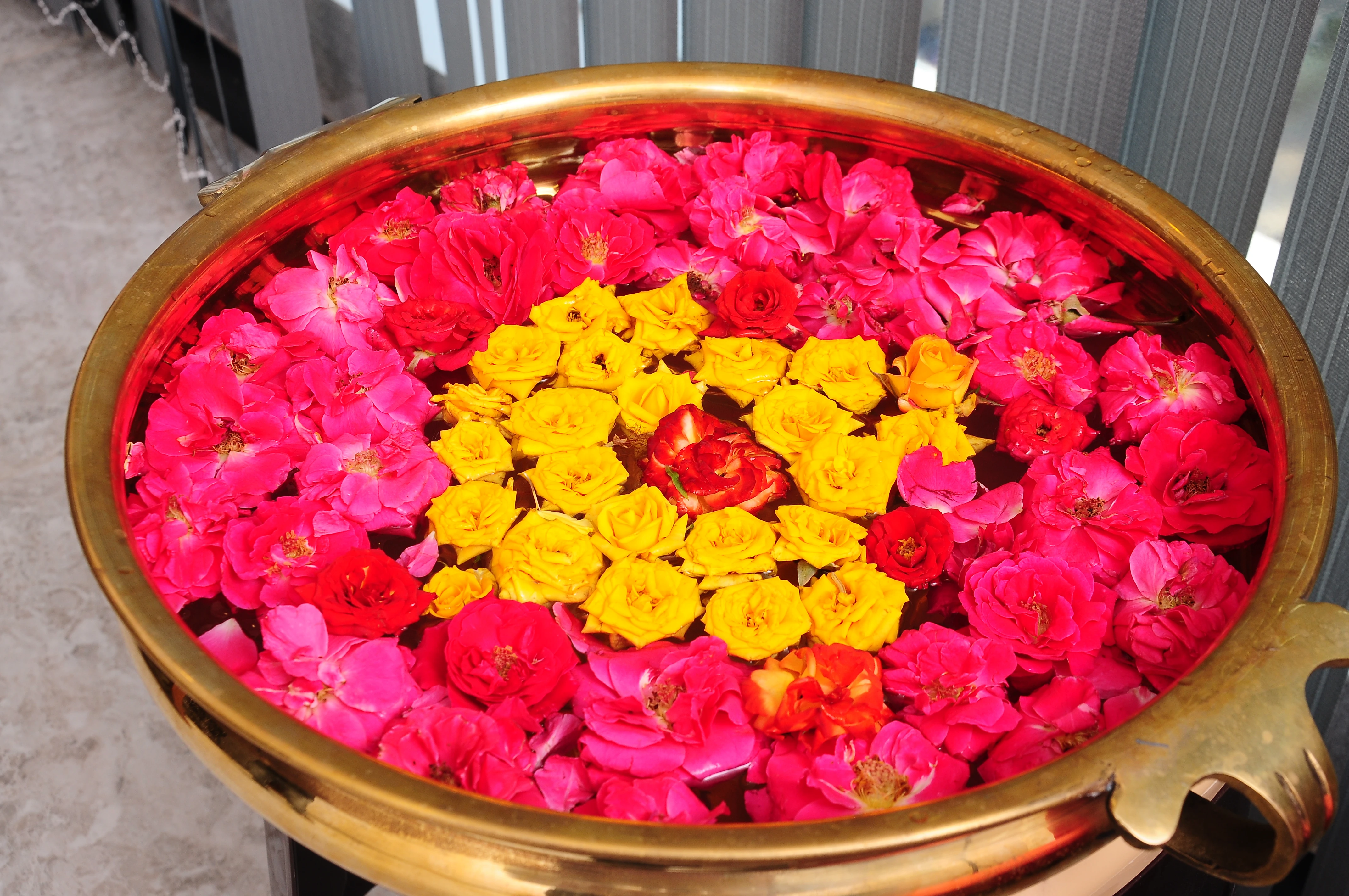 Premium spa products on display at Great Palms Spa in Anna Nagar, Chennai